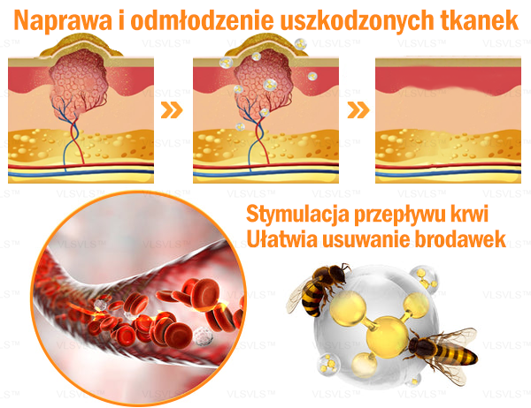 VLSVLS™ KREM NAPRAWCZY Z WENINĄ PSZCZELĄ (🧑⚕️Zalecany przez AAD) - Jad pszczeli oczyszcza skórę, walczy z trądzikiem, wyrównuje koloryt skóry, redukuje blizny, uszkodzenia słoneczne i plamy starcze